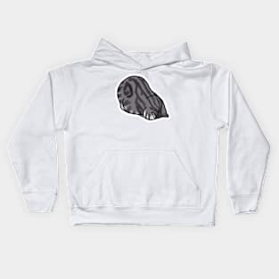 Faceplant Cat Kids Hoodie